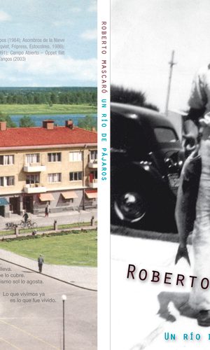 dejavu-rm-Un-Rio-De-Pajaros