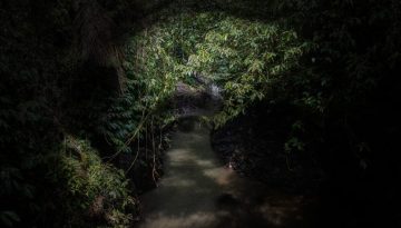 heartofdarkness