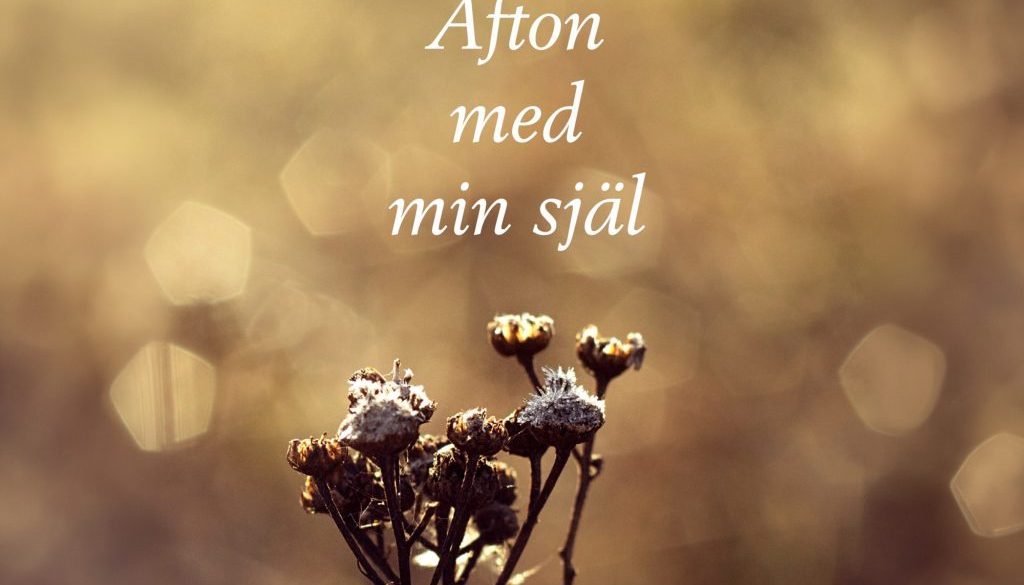 Afton-med-min-sjal-insta