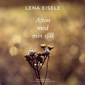 Afton-med-min-sjal-insta