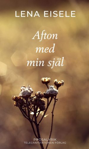 Afton-med-min-sjal-insta