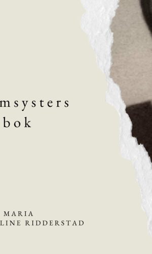 slumsysterdagbok-omslag-insta