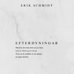 Efterdyningar-omslag-insta