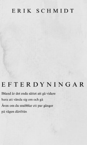 Efterdyningar-omslag-insta